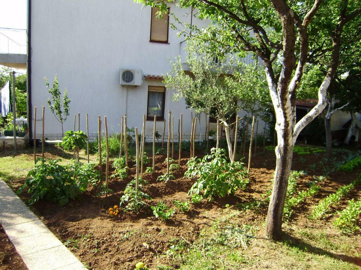 Čavle Apartment Carmen מראה חיצוני תמונה